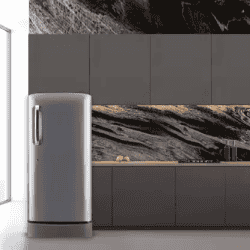 LG 205 L Direct Cool Single Door 5 Star Refrigerator | Smart Inverter Compressor | GL-D221APZZ | Shiny Steel
