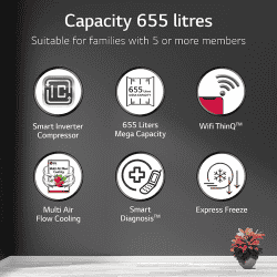 LG Side by Side Refrigerator with Smart Diagnosis | 655 L | GL-B257EESX | Ebony Sheen
