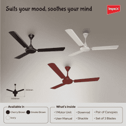 Impex Whizstar Plus 1200 mm Ceiling Fan for Home, High Speed Fan  | Smoke Brown