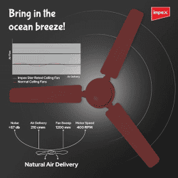 Impex Whizstar Ceiling Fan | 1200 mm | 1 Star | 3 Blade | Cherry Brown