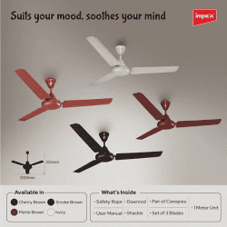 Impex Whizstar Ceiling Fan | 1200 mm | 1 Star | 3 Blade | Cherry Brown