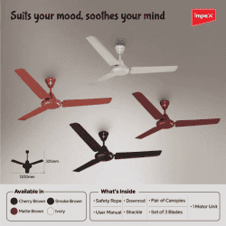 IMPEX Impex Ceiling Fan (WHIZSTAR IVORY) 1 Star 1200 mm 3 Blade Ceiling Fan | Ivory