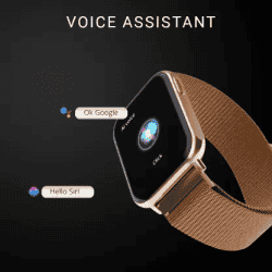 Fire-Boltt King Luxury Stainless Steel | Bluetooth Calling Smartwatch | 1.78'' | Gold Strap