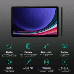 Samsung Galaxy Tab S9+ Wi-Fi+5G Tablet | 256 GB | 12 GB | 31.5 cm (12.4 Inch) | Graphite | SM-X816BZAAINU