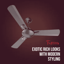HAVELLS Festiva 1 star | 1200 mm | Espresso Brown