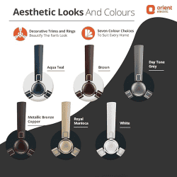 Orient Electric  |  Falcon 425 Deco | 1200 mm |  3 Blade | 1 Star | Ultra High Speed Ceiling Fan | Brown