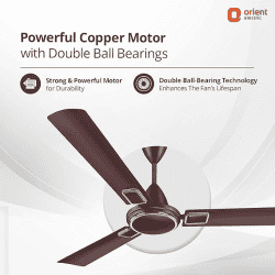 Orient Electric  |  Falcon 425 Deco | 1200 mm |  3 Blade | 1 Star | Ultra High Speed Ceiling Fan | Brown