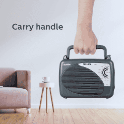 Philips Bahadur Radio | MW SW FM Bands | Grey | DL167/94