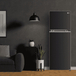 LG Frost Free Double Door 3 Star Convertible Refrigerator | 246 L | with Inverter Compressor | Ebony sheen | GL S262SESX