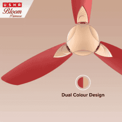 Usha Bloom Primrose Ceiling Fan | 1250 mm | 3 Blade Ceiling Fan | Sparkle Gold Cherry
