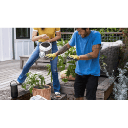 Bose Portable Smart Speaker | WiFi Connectivity | 360 Sound | Triple Black