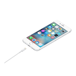 Apple Lightning to USB Cable | White | MUQW3ZM/A