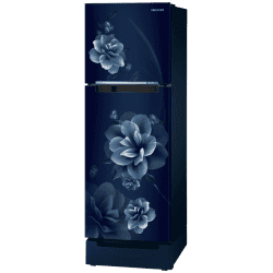 Samsung Frost Free Double Door Refrigerator | 236 L | 2 Star | Camellia Blue | RT28C3122CU/HL