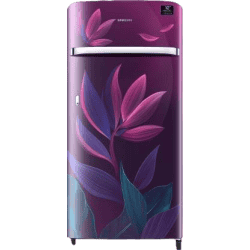 SAMSUNG 198 L Direct Cool Single Door 5 Star Refrigerator-RR21T2G2W9R/HL | Paradise Purple