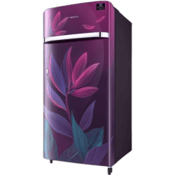 SAMSUNG 198 L Direct Cool Single Door 5 Star Refrigerator-RR21T2G2W9R/HL | Paradise Purple