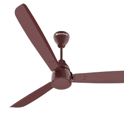 Atomberg Renesa Alpha 3 Blade Ceiling Fan | GLOSS BROWN