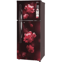 LG 260 L 2 Star Smart Inverter Frost-Free Double Door Refrigerator | GL-S292RSCY | Grey
