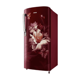 Samsung Single Door Refrigerator | 183L | 5 Star | Stylish Grandé Design | RR20D2725RZ