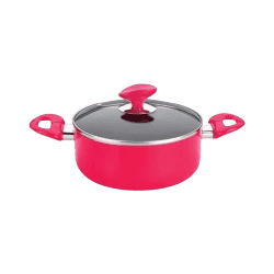 Nolta Classic Biriyani Pot 34 Cm