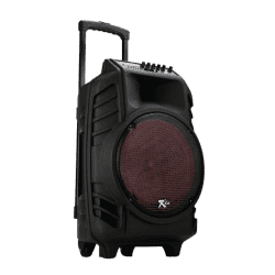 Nestron Trolley Speaker | RXE RC112