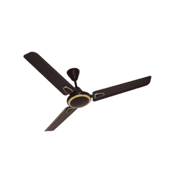 BLUEBERRYS | ELANTRA CEILING FAN | SMOKEY BLACK