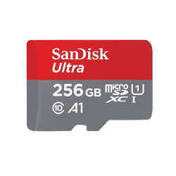 SanDisk 256GB Class 10 | MicroSD Card