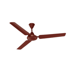 Nolta Ceiling fan  Plain | Royal Brown
