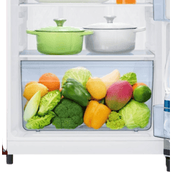 SAMSUNG 189 L Frost Free Single Door 4 Star Refrigerator  | RR21C2E24HT/HL
