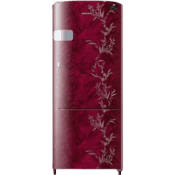 SAMSUNG Single Door Refrigerator RR20A1Y1B6R | Mystic Overlay Red