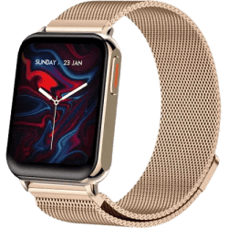 Fire-Boltt King Luxury Stainless Steel | Bluetooth Calling Smartwatch | 1.78'' | Gold Strap