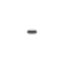 Apple USB-C to USB Adapter