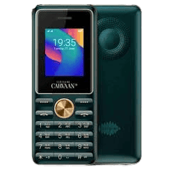 SAREGAMA Carvaan Mobile Malayalam M11 | Emerald Green