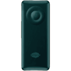 SAREGAMA Carvaan Mobile Malayalam M11 | Emerald Green