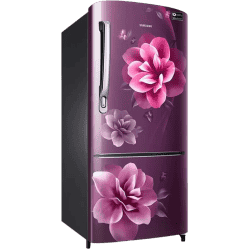 SAMSUNG 192 L Direct Cool Single Door 3 Star Refrigerator | RR20A172YCR/HL | Camellia Purple