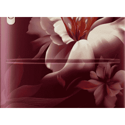 Samsung Direct Cool Single Door Refrigerator | 183 L | 3Star | Digital Inverter | Midnight Blossom Red | RR20D1723RZ/HL