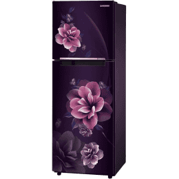 SAMSUNG | Frost Free Refrigerator | Double Door | 2 Star | 236 L | RT28C3022CR/HL