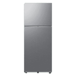 Samsung Frost Free Double Door Refrigerator | 419 L | 2 Star | Real Stainless | RT45DG6A2BSLHL