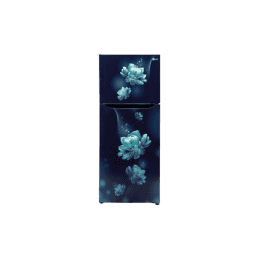LG Double Door Refrigerator | 2 Star | 242L | Smart Inverter Compressor | Multi Air Flow | Blue Charm
