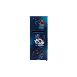 LG Double Door Refrigerator | 240L | 2 Star | Blue Water Lily | GL-S292SBWY DBWZEBN