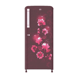 BPL BEGONIA Direct Cool Refrigerator | 187L | 3 Star | BRD- F210ECPCBS