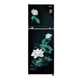 LG Double Door Convertible Refrigerator | Smart Inverter Compressor | 246L | 3 Star | Emerald Lotus | GL-S262SELX DELZEBN