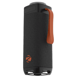 Zebronics Portable Bluetooth Speaker | 40W |  Type-C Charging | Sound Feast 250 | Black