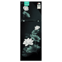 LG Frost Free Double Door Refrigerator | 251 L | 2 Star | Emerald Lotus | GLT2526XWOB