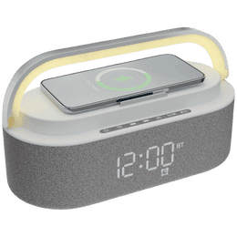 ZEBRONICS Zeb EchoGlow Bluetooth Speaker |  20W RMS | RGB Lights