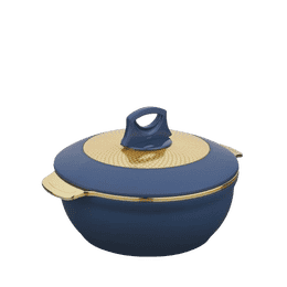 Asian Globus insulated Deluxe 1600 Casserole | Multicolour