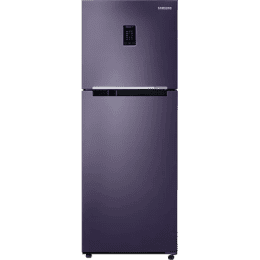 Samsung Frost Free 301 L  RT34C4522UT Double Door 2 Star Refrigerator | Pebble Blue