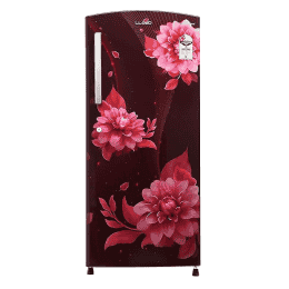 LLYOD Havells Direct Cool Standard Single Door Refrigerator | GLDC212SBWT2PB | 200 L/2 Star | Begonia Wine