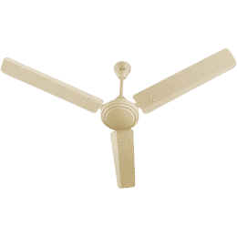 Polycab Zoomer 3 Blade Ceiling Fan | 1200 mm | Bianco