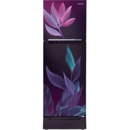 Samsung Frost Free Double Door Refrigerator | 2 Star | 236 L | Paradise Bloom Purple | RT28C31429R/HL