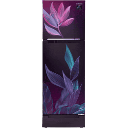 SAMSUNG 253 L Frost Free Double Door 2 Star Refrigerator with Base Drawer | RT28T31429R/HL | Paradise Purple